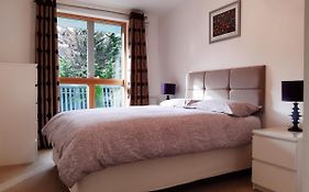 Stylish Wembley Stadium And Ovo Arena Apartment, London